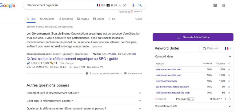 surfer seo avis