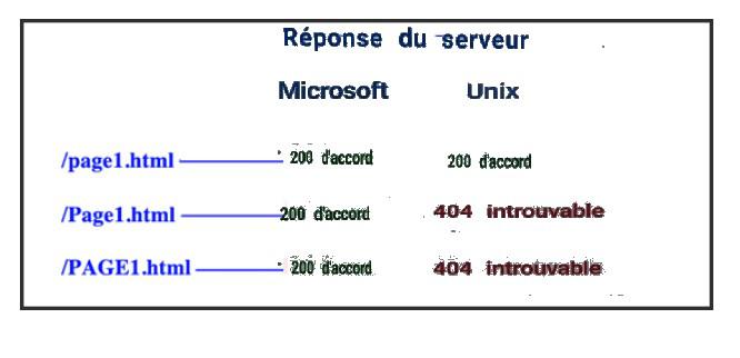 seo conseils